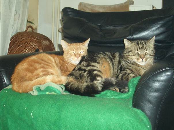 cid:image001.jpg@01CFCB36.05C36E00