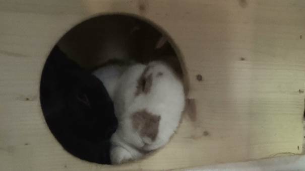 cid:image002.jpg@01CFCB36.05C36E00