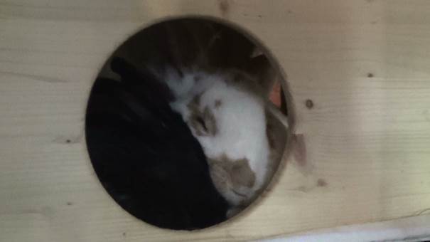 cid:image003.jpg@01CFCB36.05C36E00