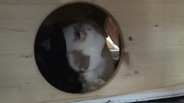 cid:image004.jpg@01CFCB36.05C36E00