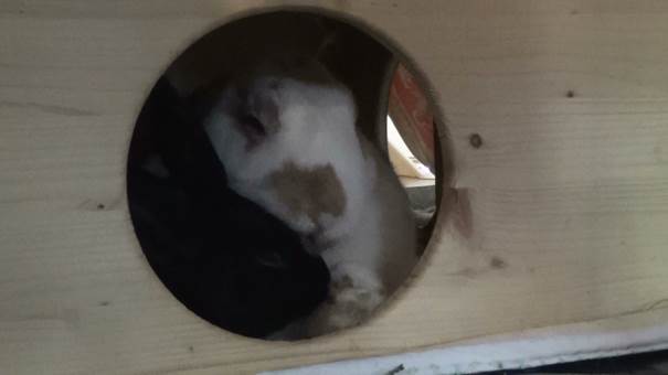 cid:image005.jpg@01CFCB36.05C36E00